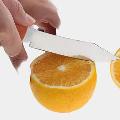 Stainless Steel Home Kitchen Fruit Knife